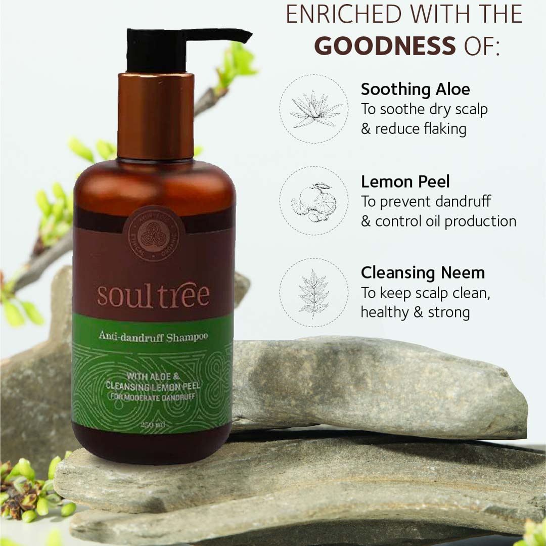 Vanity Wagon | Buy SoulTree Anti-Dandruff Shampoo with Aloe & Cleansing Lemon Peel