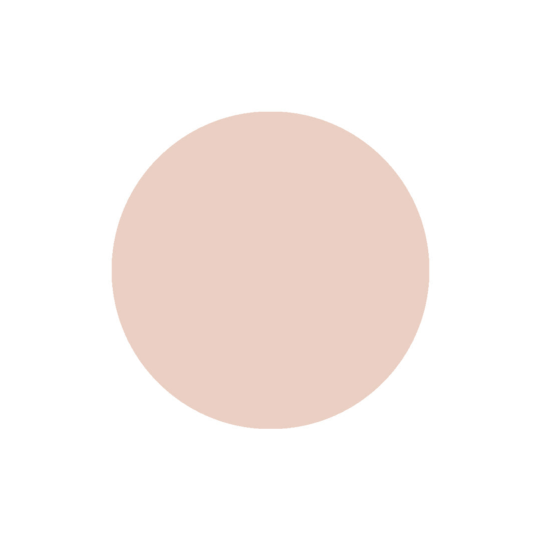Vanity Wagon | Buy Color Chemistry Luminous Natural Finish Liquid Foundation, Chickpea FW02