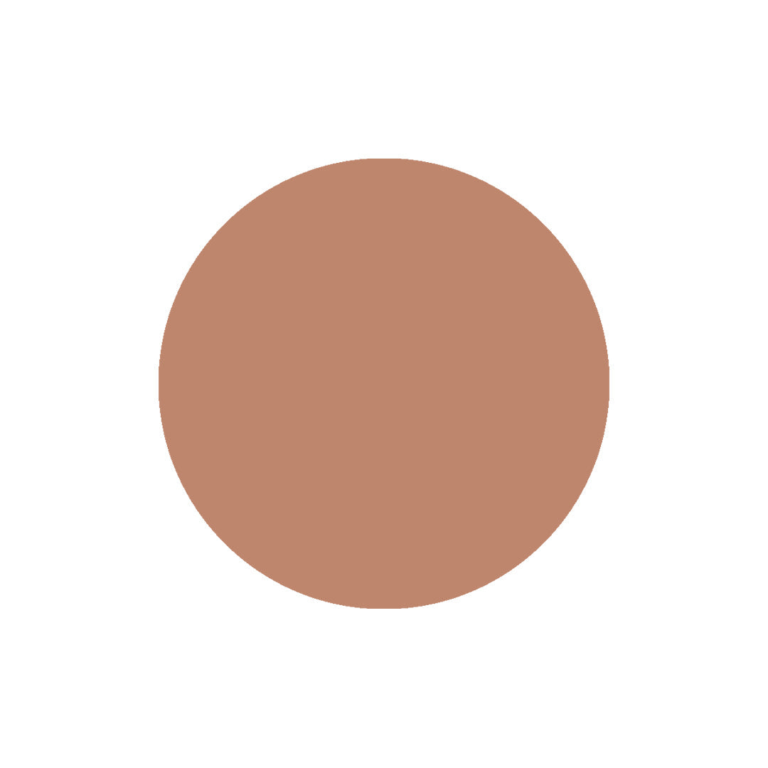 Vanity Wagon | Buy Color Chemistry Luminous Natural Finish Liquid Foundation, Pecan DC04